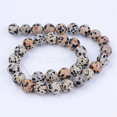Natural Dalmatian Jasper Beads Strands(G-Q462-6mm-30)-2