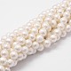 Chapelets de perles en coquille(BSHE-L029-01-6mm)-1