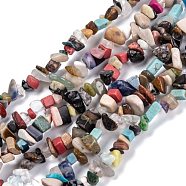 Natural & Synthetic Mixed Gemstone Beads Strands, Chip, 3~16x3~8mm, Hole: 0.7mm, 32.28''(82cm)(G-G011-13)
