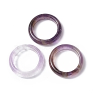 Natural Amethyst Plain Band Ring, Gemstone Jewelry for Women, US Size 9(18.9mm)(RJEW-P044-01B-08)
