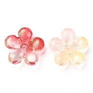 Transparent Baking Painted Glass Bead Caps, Five-Petal Flowers, Mixed Color, 22x22x8mm, Hole: 1.8mm(X-GLAA-A002-03)
