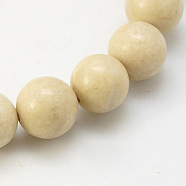 Natural Fossil Beads Strands, Round, 10mm, Hole: 1mm, about 41pcs/strand(X-G-E110-10mm-2)