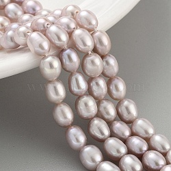 Natural Cultured Freshwater Pearl Beads Strands, Rice, Grade AA+, Thistle, 5~6mm, Hole: 0.7mm, about 26pcs/strand, 7.09''(18cm)(PEAR-P062-06C-1)