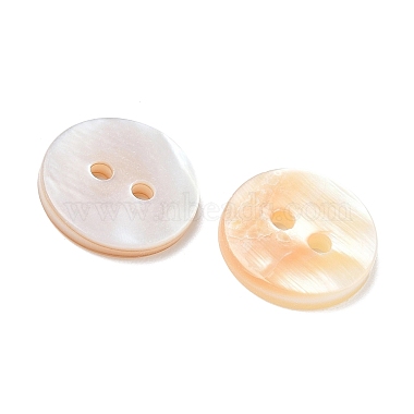 2-Hole Shell Flat Round Buttons(X-BUTT-P012-09)-3