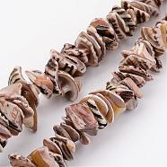 Natural Shell Bead Strands, Dyed, Nuggets, Camel, 10~20x8~12x3~6mm, Hole: 1mm, about 15.7 inch(BSHE-P010-07)