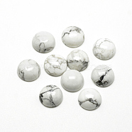 Natural Howlite Cabochons, Half Round/Dome, 16x6mm(X-G-R416-16mm-29)