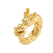 Rack Plating Brass Twister Clasps, Long-Lasting Plated, Lead Free & Cadmium Free, Round Ring with Dragon, Golden, 20x17x5.5mm, Hole: 1.2mm(KK-F876-10G)