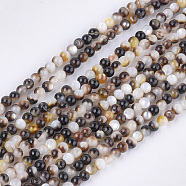 Black Lip Shell Beads Strands, Round, Black, 3mm, Hole: 0.6mm, about 133pcs/strand, 15.7 inch(SHEL-S274-92A)
