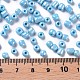 Glass Seed Beads(X1-SEED-A012-4mm-123)-3