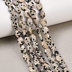 Natural Dalmatian Jasper Beads Strands, Faceted, Flat Oval, 8x6x3mm, Hole: 0.7~0.8mm, about 46~47pcs/strand, 14.96~15.16''(38~38.5cm)(G-H349-A01-02)