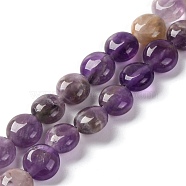 Natural Amethyst Beads Strands, Flat Round, 7.5~8x4.5~5mm, Hole: 1.2mm, about 50~51pcs/strand, 14.57~15.35 inch(37~39cm)(G-T047-A04-01)