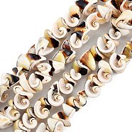 Natural Spiral Shell Beads Strands, Cone, Random, 5.5~13x7~11x5~9mm, Hole: 1.2mm, about 76pcs/strand, 14.65 inch(37.2cm)(SSHEL-G024-02)