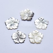 Shell Pendants, Flower, 23~25x2~4mm, Hole: 1mm(SSHEL-P015-42)