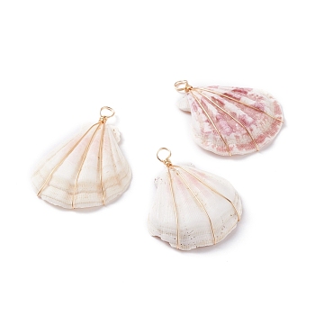 Natural Scallop Shell Pendants, with Real 18K Gold Plated Eco-Friendly Copper Wire, Pink, 47.5~50x36~37.5x8.5~10.5mm, Hole: 4mm