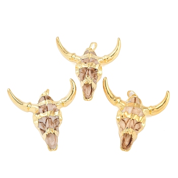 Resin Big Pendants, Cattle Head Shaped Charms with Brass Snap on Bails, Golden, 50x46.5x15mm, Hole: 7x4.5mm