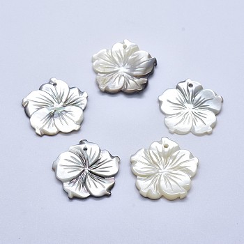 Shell Pendants, Flower, 23~25x2~4mm, Hole: 1mm
