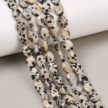 Natural Dalmatian Jasper Beads Strands(G-H349-A01-02)-1