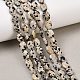Natural Dalmatian Jasper Beads Strands(G-H349-A01-02)-1