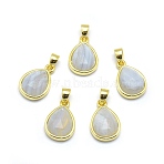 Natural Blue Lace Agate Pendants, with Golden Tone Brass Findings, teardrop, Faceted, 14.5x9.5x5mm, Hole: 2.5x3.5mm(G-O176J-06G)