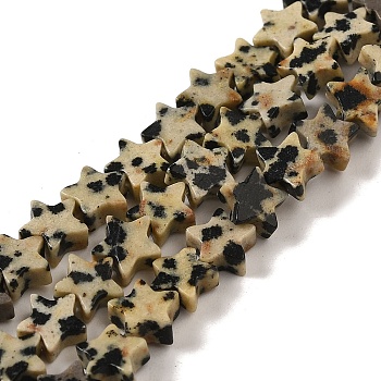 Natural Dalmatian Jasper Beads Strands, Star, 6x5.5x2mm, Hole: 0.8mm, about 75pcs/strand, 14.57 inch(37cm)