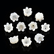 Natural White Shell Bead Caps(SSHEL-N032-58B)-2