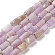 Natural Kunzite Beads Strands, with Seed Beads, Faceted, Column, 8.5~11x5.5~6.5mm, Hole: 1mm, about 14~15pcs/strand, 7.48''(19cm)(G-N327-06-36)