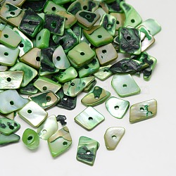 Dyed Natural Freshwater Shell Chips Beads, Dark Sea Green, 11~16x4~8x2~5mm, Hole: 1mm, about 700pcs/500g(SHEL-A003-A05)