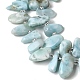 brins de perles de larimar naturels(G-P604-A28-01)-4