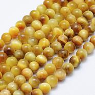 Natural Tiger Eye Beads Strands, Round, 6mm, Hole: 1mm, about 61~63pcs/strand, 14.9 inch(38cm)(G-K203-84-6mm)
