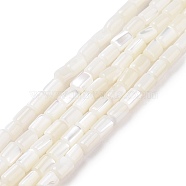 Natural Trochus Shell Beads Strands, Dyed, Column, White, 5x3mm, Hole: 0.8mm, about 82~83pcs/strand, 15.63''(39.7cm)(SSHEL-H070-01G)