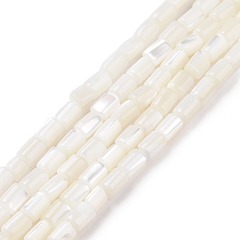 Natural Trochus Shell Beads Strands, Dyed, Column, White, 5x3mm, Hole: 0.8mm, about 82~83pcs/strand, 15.63''(39.7cm)