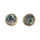 Abalone Shell/Paua Shell Stud Earrings(EJEW-JE03864-02)-1