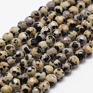 Natural Dalmatian Jasper Beads Strands, Faceted, Round, 4mm, Hole: 1mm, about 96pcs/strand, 14.9 inch~15.1 inch(G-D840-49-4mm)