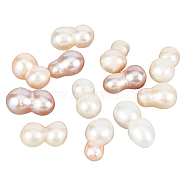 12Pcs Natural Cultured Freshwater Pearl, No Hole/Undrilled, Seashell Color, 11.5~13.5x6~8mm(PEAR-NB0002-14)