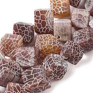 Natural Weathered Agate Beads Strands, Dyed, Rhombus, Sienna, 11~13.5x11~13.5x10.5~13.5mm, Hole: 2mm, about 27pcs/strand, 16.06''(40.8cm)(G-Q169-C04-02A)