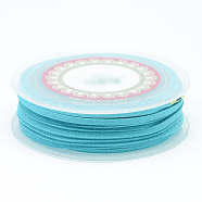 Faux Suede Cord, Faux Suede Lace, Sky Blue, 3x1.5mm, about 5.46 yards(5m)/roll(LW-D009-13)