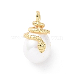 Shell Pearl Pendants, with Brass Findings, Cadmium Free & Lead Free, Long-Lasting Plated, Teardrop with Snake Charm, Real 18K Gold Plated, 25x14x16mm, Hole: 4x3mm(KK-C004-09G)