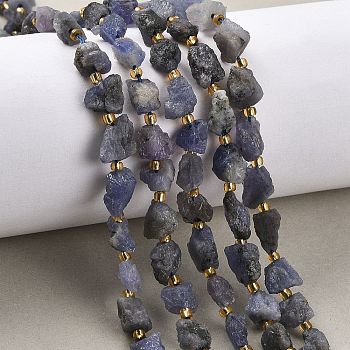 Raw Rough Natural Tanzanite Beads Strands, Nuggets, with Seed Beads, 5~18x5~12x4~8mm, Hole: 1mm, about 30~45pcs/strand, 15.55''(39.5cm)~15.94''(40.5cm)