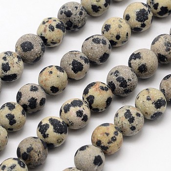 Natural Dalmatian Jasper Beads Strands, Frosted, Round, 10mm, Hole: 1mm, about 38pcs/strand, 14.9 inch