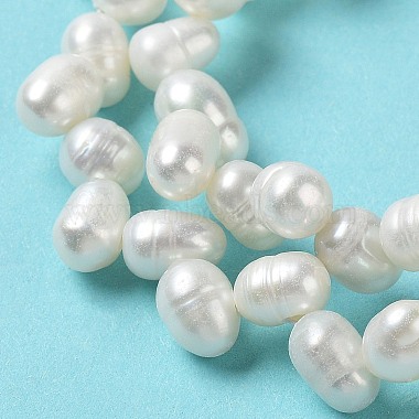 Natural Cultured Freshwater Pearl Beads Strands(PEAR-J007-41)-4