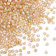 Picasso Baking Paint Glass Seed Beads(SEED-TA0001-62A)-2