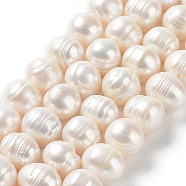 Natural Cultured Freshwater Pearl Beads Strands, Potato, Grade A, Antique White, 9.5~12.5x8.5~10.5mm, Hole: 0.5mm, about 35pcs/strand, 13.94''(35.4cm)(PEAR-E019-04)