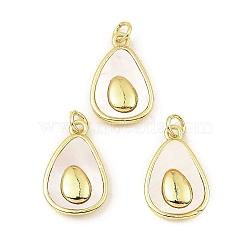 Rack Plating Real 18K Gold Plated Brass Fruit Pendants, Avocado Charms with Shell, Long-Lasting Plated, Lead Free & Cadmium Free, Seashell Color, 21.5x12.5x3.5mm, Hole: 3mm(KK-B077-31G)