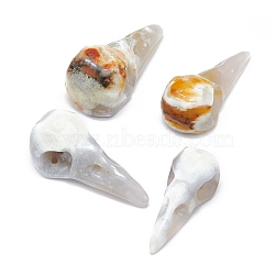 Natural Agate Sculpture Display Decorations, for Home Office Desk, Eagle's Beak, 40~47x17~21x14.5~18mm(G-F719-44A)