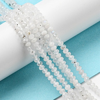 Natural Rainbow Moonstone Beads Strands, Faceted Rondelle, 3x2mm, Hole: 0.6mm, about 163pcs/strand, 15.47 inch(39.3cm)