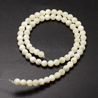 Natürlichen Muschel Perlen Stränge(SSHEL-K013-6mm-A)-2