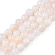 Natural Freshwater Shell Beads Strands, Dyed, Round, Lavender Blush, 2.5mm, Hole: 0.5mm, about 122~136pcs/strand, 14.57 inch~15.63 inch(37cm~39.7cm)(BSHE-T009A-01B)