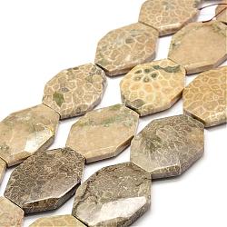 Natural Fossil Coral Beads Strands, Faceted, Oval, 44x34~35x9~11mm, Hole: 0.8~1.5mm, about 9pcs/strand, 15.7 inch(40cm)(G-F477-07-44x34mm)