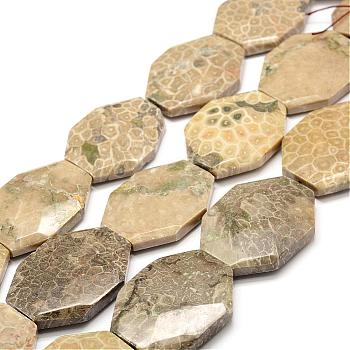 Natural Fossil Coral Beads Strands, Faceted, Oval, 44x34~35x9~11mm, Hole: 0.8~1.5mm, about 9pcs/strand, 15.7 inch(40cm)