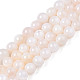 Natural Freshwater Shell Beads Strands(BSHE-T009A-01B)-1